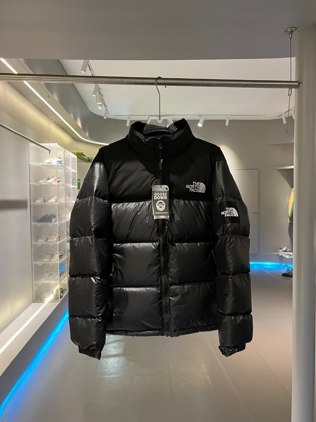 The North Face Down Jackets